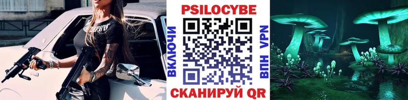 Купить где  Георгиевск  Галлюциногенные грибы GOLDEN TEACHER 